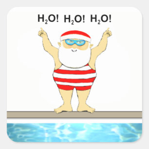 Swimming Christmas Holiday Labels