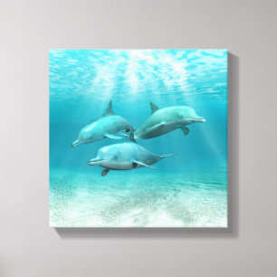 Swimming Dolphins Canvas Print