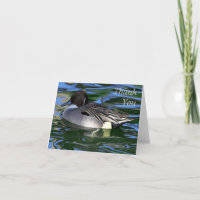 swimming duck, Thank You Note