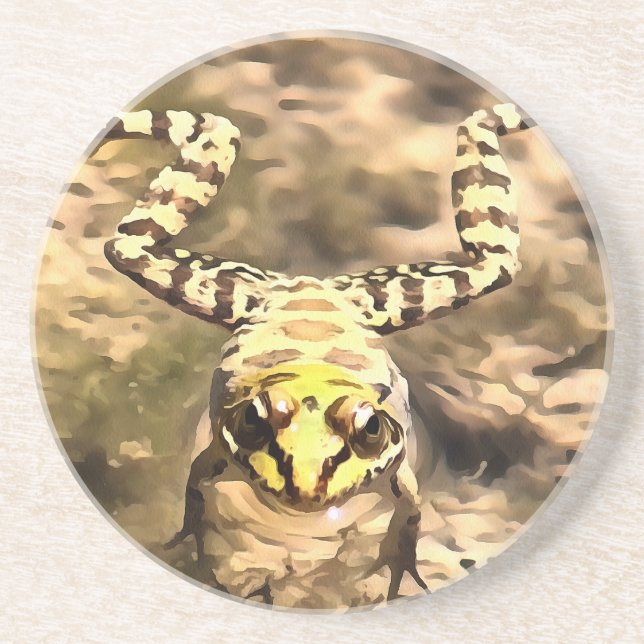Swimming Frog Immersed In Clear River Water Painti Coaster (Front)