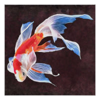 Swimming Goldfish Realistic Fine Art