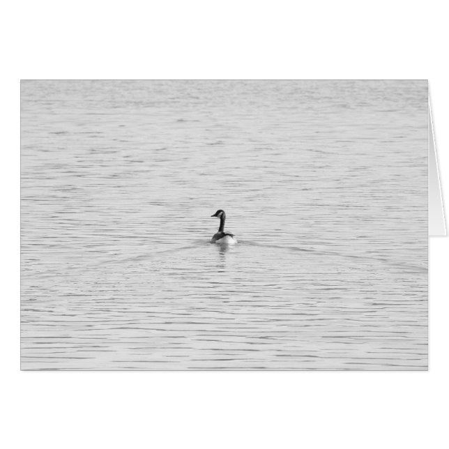 Swimming Goose (Front Horizontal)