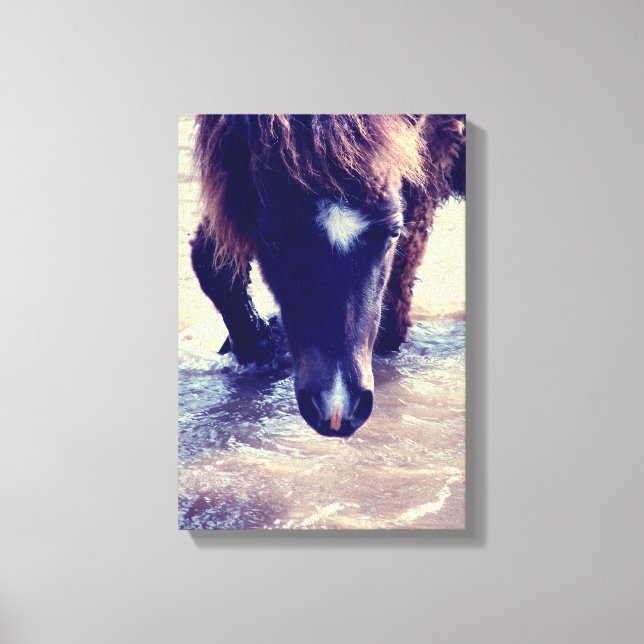 Swimming Horse Canvas Print (Front)