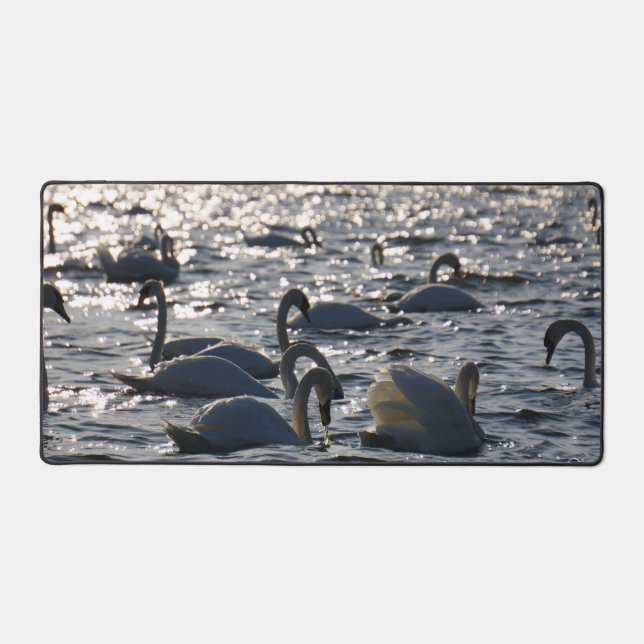 Swimming in a group on the water with sparkling z desk mat (Front)