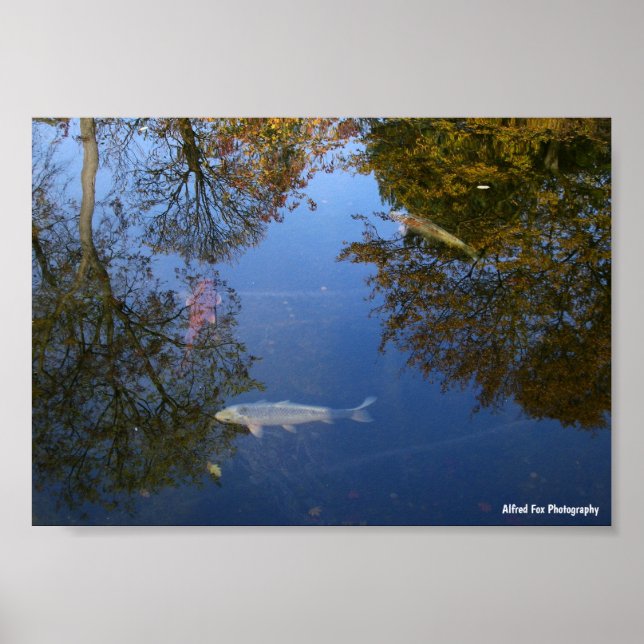 Swimming in the Sky Poster (Front)