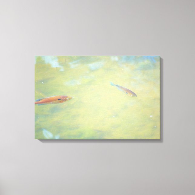 Swimming in the Sun Canvas Print (Front)