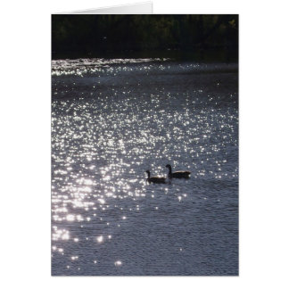 Swimming into the Light