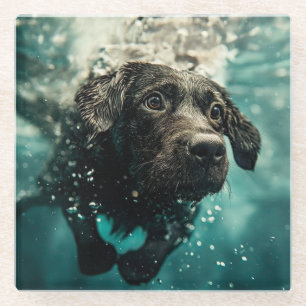 Swimming Labrador Puppy Underwater Design Glass Coaster