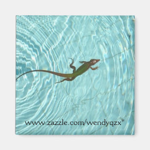 Swimming Lizard Magnet