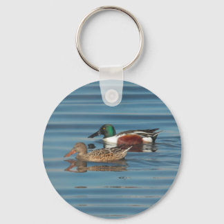 Swimming Northern Shovelers Keychain
