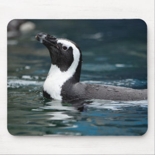 Swimming Penguin Mouse Pad