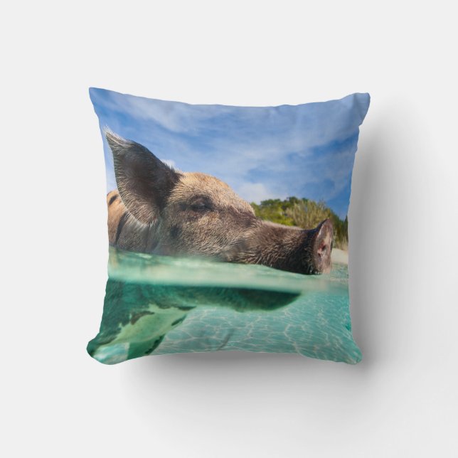 Swimming pig of Exuma Cushion (Front)