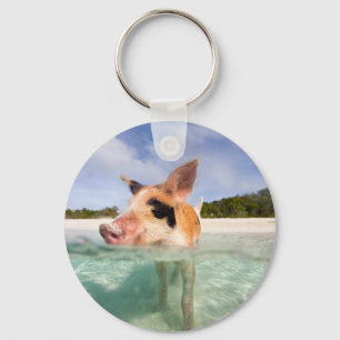 Swimming pig of Exuma Key Ring
