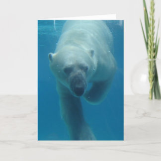 Swimming Polar Bear Greeting Card