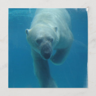 Swimming Polar Bear  Invitations