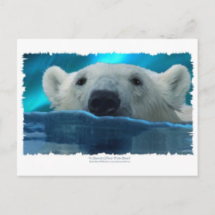 SWIMMING POLAR BEAR POSTCARD