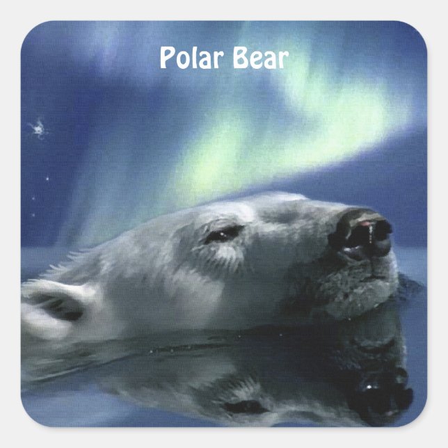 SWIMMING POLAR BEAR Wildlife Stickers (Front)