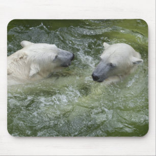 Swimming Polar Bears Mouse Pad