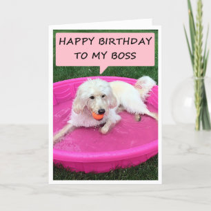 SWIMMING PUP LOVES WORKING FOR BOSS=BIRTHDAY CARD