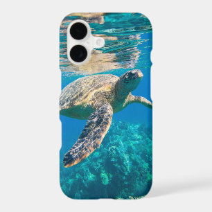 Swimming Sea Turtle