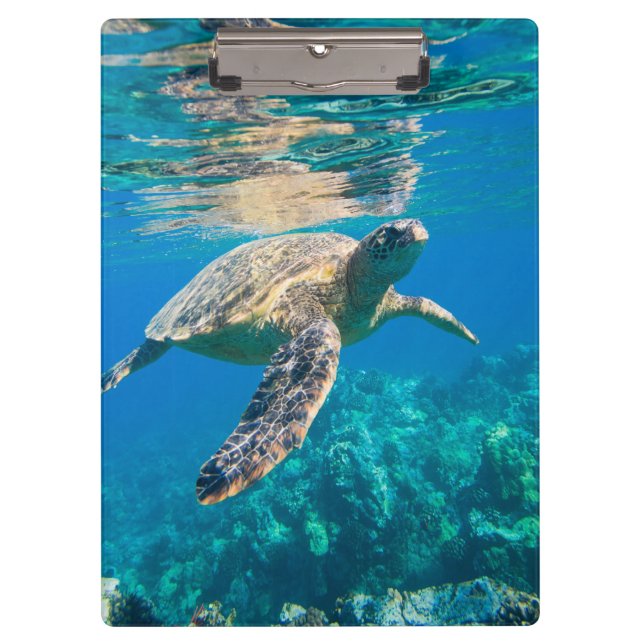 Swimming Sea Turtle Clipboard (Front)