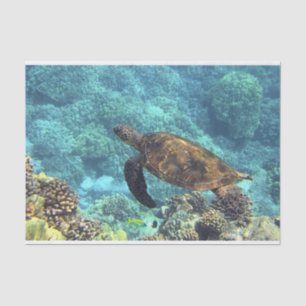 Swimming Sea Turtle in Blue Ocean Tissue Paper