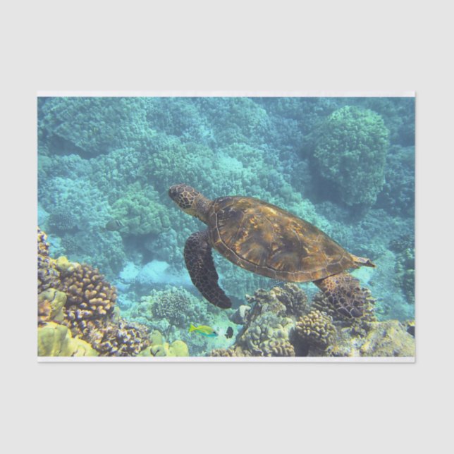 Swimming Sea Turtle in Blue Ocean Tissue Paper (Front)