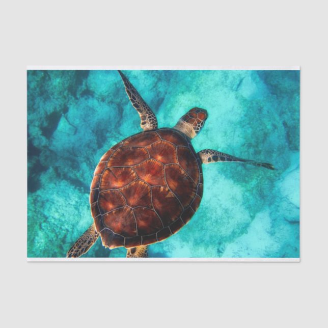 Swimming Sea Turtle in Blue Ocean Water  Tissue Paper (Front)