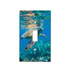 Swimming Sea Turtle
