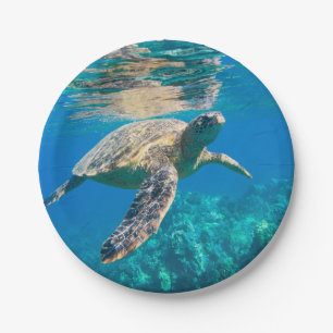 Swimming Sea Turtle Paper Plate