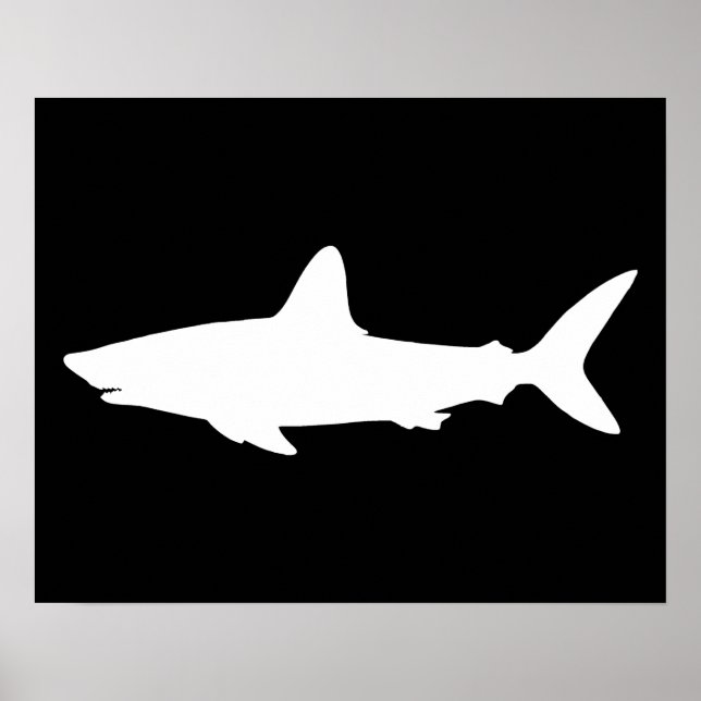 Swimming Shark Poster (Front)