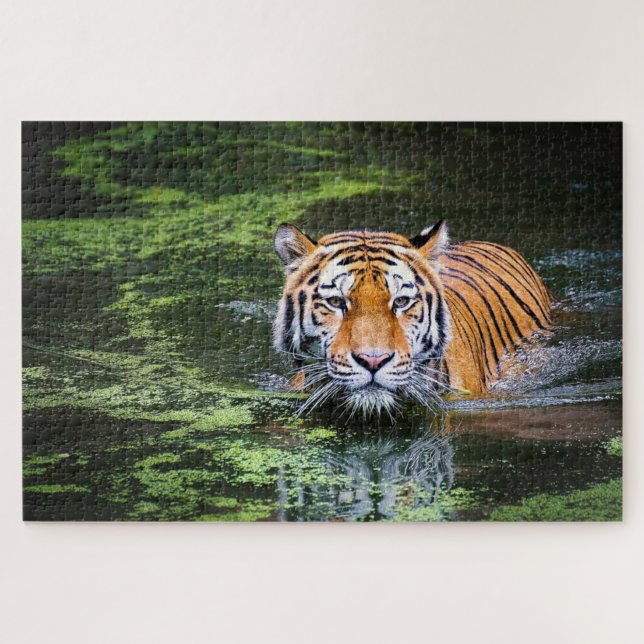 Swimming tiger jigsaw puzzle (Horizontal)