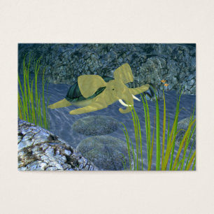Swimming Turphant