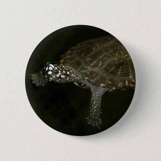 Swimming Turtle 6 Cm Round Badge (Front)