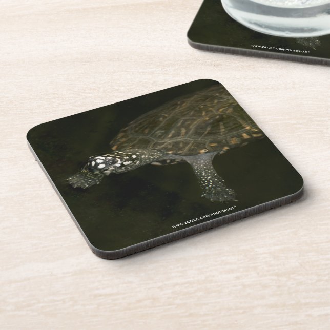 Swimming Turtle Coaster (Left Side)