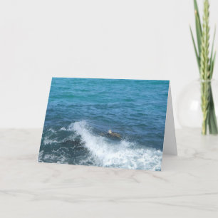 swimming turtle greeting card (encouragement)