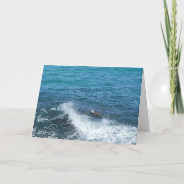 swimming turtle greeting card (encouragement) (Front)