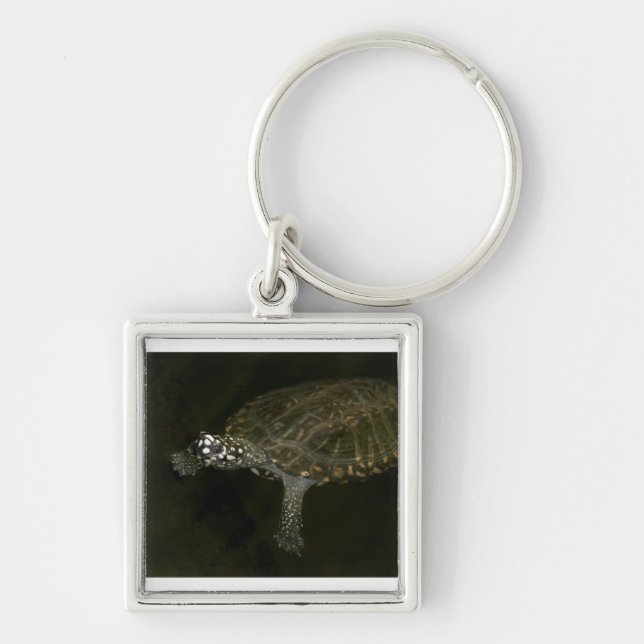 Swimming Turtle Key Ring (Front)