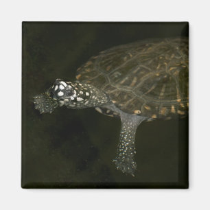 Swimming Turtle Magnet