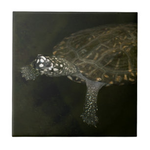 Swimming Turtle Tile