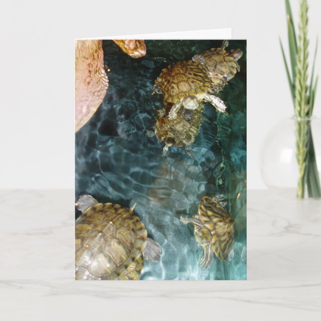 “Swimming Turtles” Thank You Card (Front)