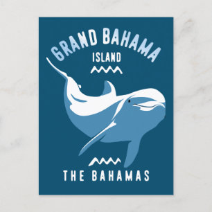 Swimming with Dolphins Grand Bahama Scuba Diving Postcard