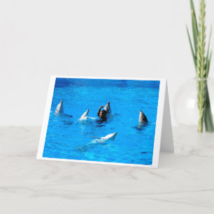 Swimming with five dolphins in Spain Holiday Card