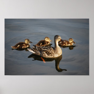 Swimming with Mum Poster
