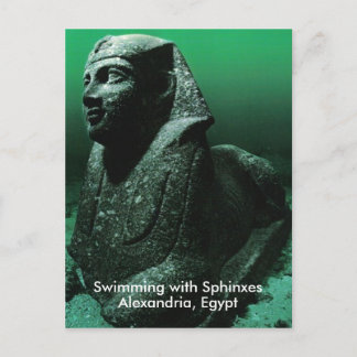 Swimming with Sphinxes Postcard
