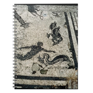 Swimming with the Dolphins, from the Frigidarium o Spiral Notebook
