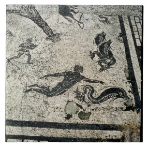 Swimming with the Dolphins, from the Frigidarium o Tile