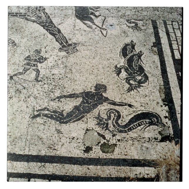 Swimming with the Dolphins, from the Frigidarium o Tile (Front)