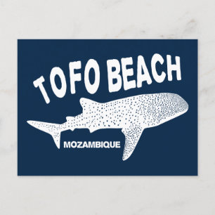 Swimming With Wale Sharks - Tofo Beach Mozambique Postcard