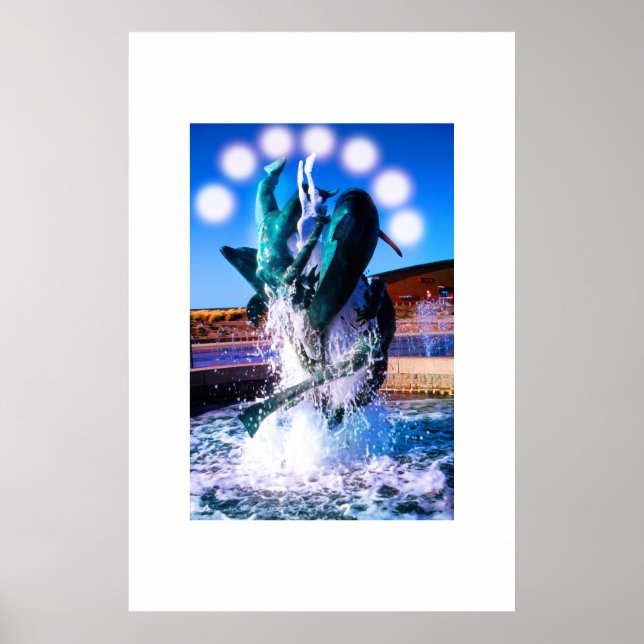 Swims with dolphins fountain poster (Front)